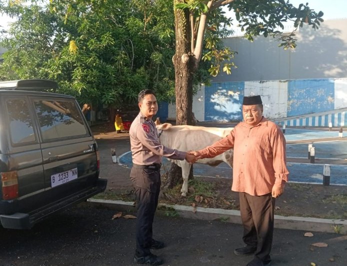 PB JATMA ASWAJA Salurkan 80 Ekor Sapi Kurban Idul Adha untuk Masyarakat Indonesia yang Membutuhkan