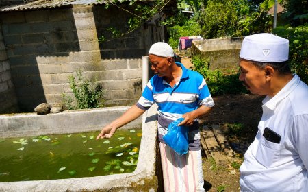 JATMA ASWAJA Karanganyar Kembangkan Program Lele Mutiara, Perkuat Kemandirian Ekonomi Jamaah