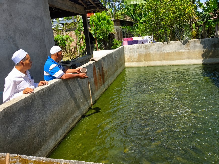 JATMA ASWAJA Karanganyar Kembangkan Program Lele Mutiara, Perkuat Kemandirian Ekonomi Jamaah