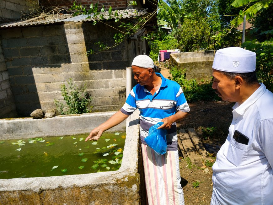 JATMA ASWAJA Karanganyar Kembangkan Program Lele Mutiara, Perkuat Kemandirian Ekonomi Jamaah
